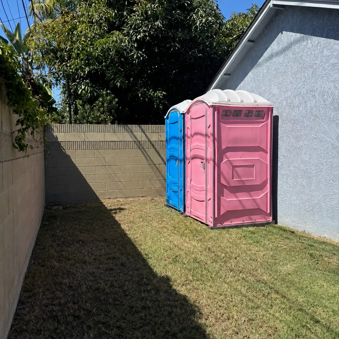 Blue and pink porta potties on a grass side yard next to a house