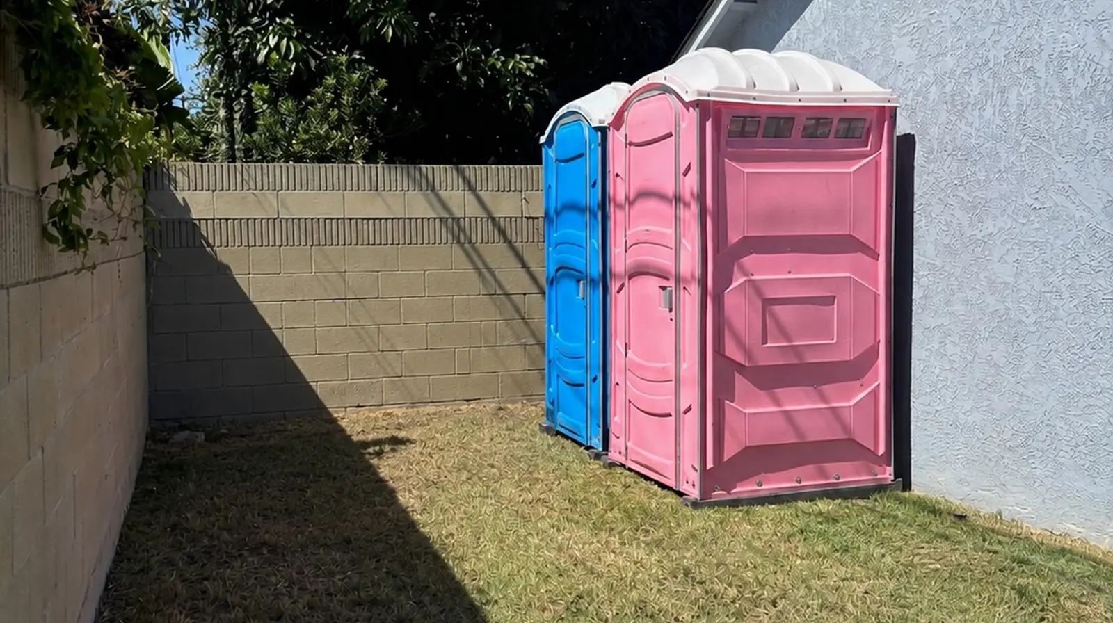 Blue and pink porta potties set on a grass side yard next to a house